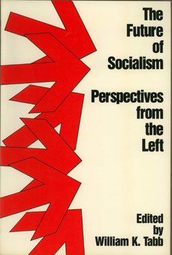 Stock image for Future of Socialism: Perspectives from the Left for sale by Vashon Island Books