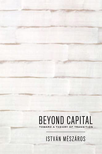 Beispielbild fr Beyond Capital: Toward a Theory of Transition zum Verkauf von Monster Bookshop