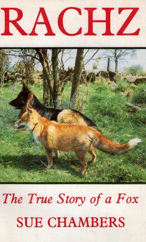 Stock image for Rachz: the true story of a fox for sale by Books End Bookshop