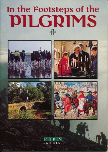Imagen de archivo de In the Footsteps of the Pilgrims a la venta por WorldofBooks