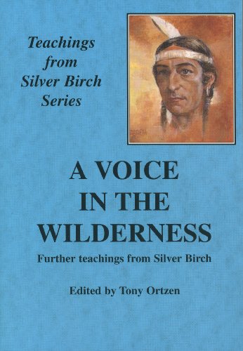 Stock image for A Voice in the Wilderness for sale by Half Price Books Inc.