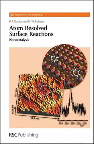 Beispielbild fr Atom Resolved Surface Reactions : Nanocatalysis zum Verkauf von Buchpark