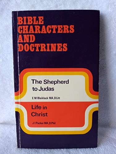 Stock image for Bible Characters and Doctrines for sale by Better World Books Ltd