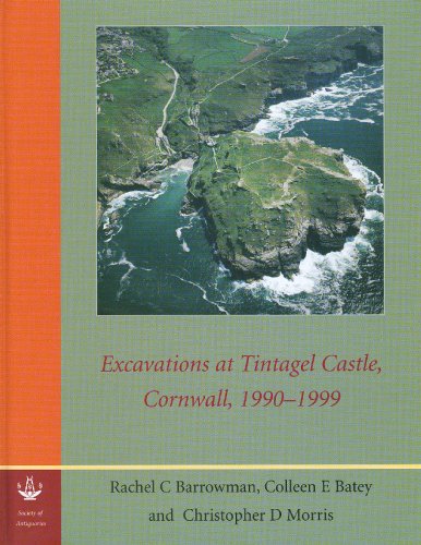 Stock image for Excavations at Tintagel Castle, Cornwall, 1990-1999 for sale by Dreadnought Books