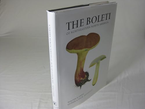 Beispielbild fr Boleti of North Eastern North America zum Verkauf von Wizard Books