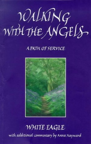 Stock image for Walking With the Angels for sale by Blackwell's