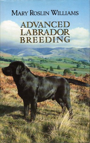 Beispielbild fr Advanced Labrador Breeding zum Verkauf von Brit Books