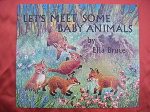 Beispielbild fr Let's Meet Some Baby Animals zum Verkauf von Wonder Book