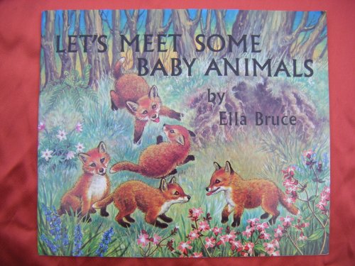 Stock image for Let's Meet Some Baby Animals for sale by Wonder Book