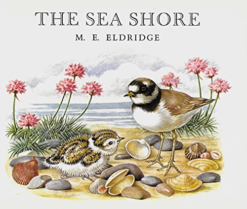 Imagen de archivo de The Sea Shore a la venta por ThriftBooks-Atlanta