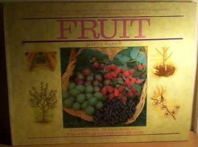 Imagen de archivo de Fruit (The Royal Horticultural Society encyclopaedia of practical gardening) a la venta por WorldofBooks