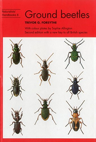 9780855462642: Ground beetles: 8 (Naturalists' Handbooks)