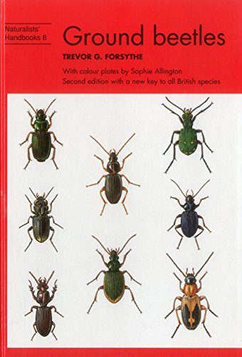 Stock image for Common Ground Beetles (Volume 8) for sale by Anybook.com