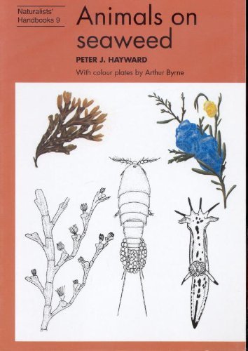 Beispielbild fr Animals on Seaweed (Naturalists' Handbook Series): 9 zum Verkauf von WorldofBooks