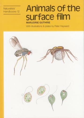 Stock image for Animals of the surface film (Hardcover) for sale by CitiRetail