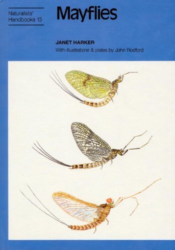 Stock image for Mayflies: 13 (Naturalists' Handbook) for sale by WorldofBooks