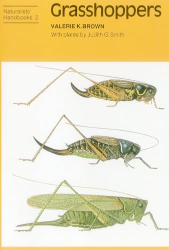 Stock image for Grasshoppers (Paperback) for sale by CitiRetail