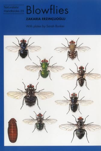 Beispielbild fr Blowflies (Naturalists' Handbook 23) zum Verkauf von WorldofBooks