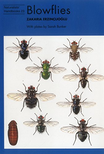Imagen de archivo de Blowflies: Naturalists' Handbooks 23. a la venta por Little Owl Books