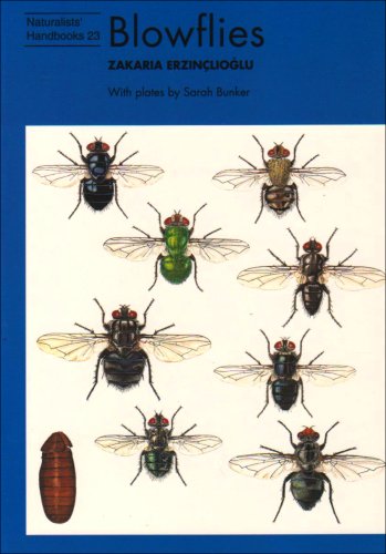 9780855463045: Blowflies: No. 23 (Naturalists' Handbook)