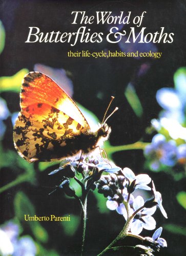 Beispielbild fr World of Butterflies and Moths zum Verkauf von WorldofBooks