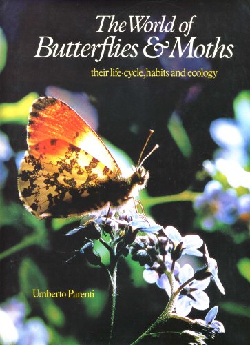 Imagen de archivo de World of Butterflies and Moths a la venta por WorldofBooks