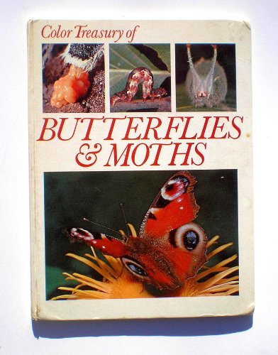 Imagen de archivo de Butterflies and Moths a la venta por WorldofBooks