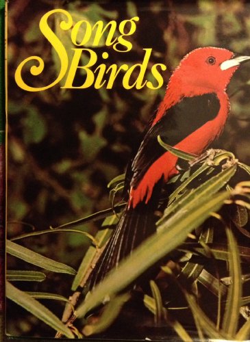 9780856131769: Song Birds