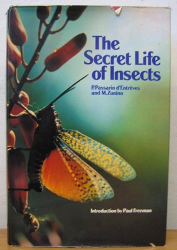 Beispielbild fr Secret Life of Insects zum Verkauf von WorldofBooks