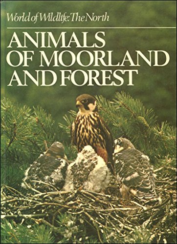 Animals of Moorland and Forest World of Wildlife-the North