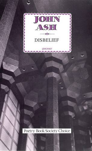 Beispielbild fr Disbelief zum Verkauf von RIVERLEE BOOKS