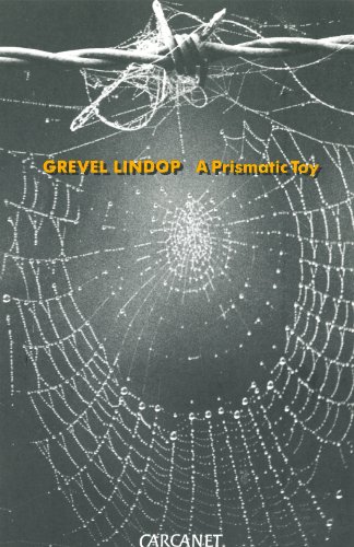A Prismatic Toy (History of European Society) (9780856359217) by Lindop PH.D., Freelance Writer Grevel