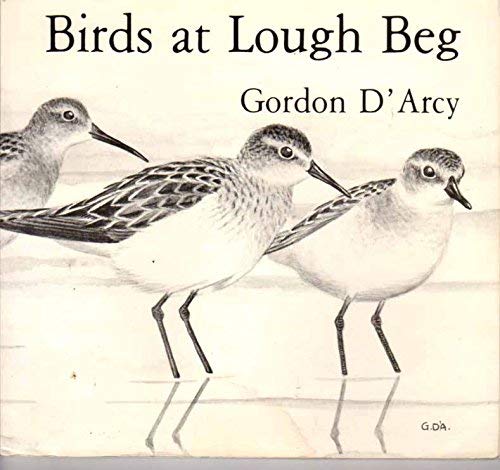 Birds at Lough Beg (9780856401206) by D'Arcy, Gordon