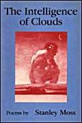 Immagine stock per The Intelligence of Clouds