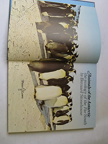 Imagen de archivo de Animals of the Antarctic: Ecology of the Far South a la venta por AwesomeBooks