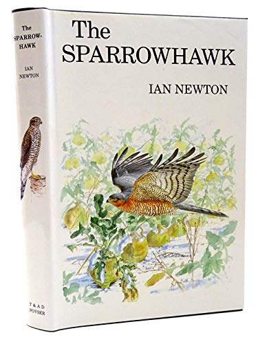 The Sparrowhawk - Newton, Ian