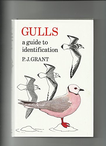 Stock image for Gulls: A Guide to Identification. - 2nd ed. for sale by Broad Street Book Centre