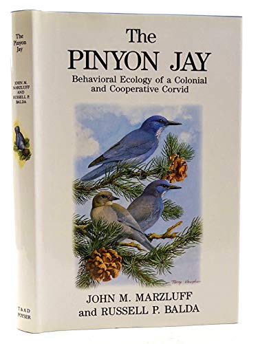 9780856610646: The Pinyon Jay