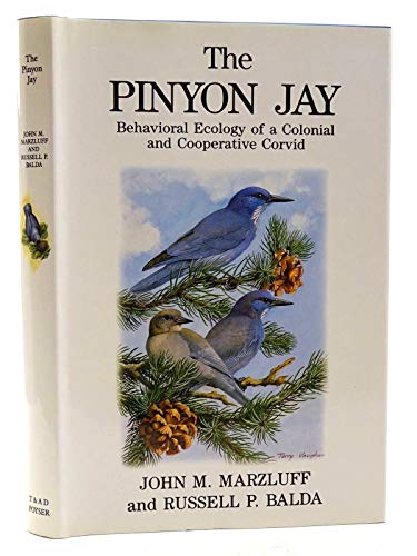 The Pinyon Jay: Behavioral Ecology of a Colonial and Cooperative Corvid (T & AD Poyser) (9780856610646) by Marzluff, John M.; Balda, Russell P.