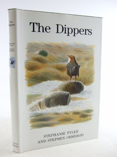 Imagen de archivo de The Dippers (T and AD Poyser) a la venta por Hawking Books