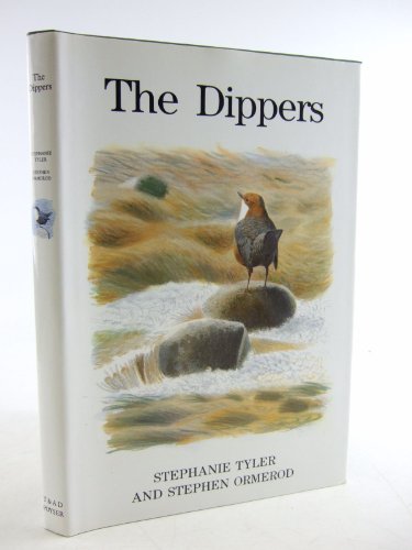 The Dippers