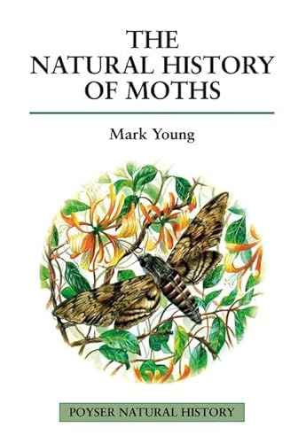 Stock image for The Natural History of Moths (Poyser Natural History) for sale by WorldofBooks