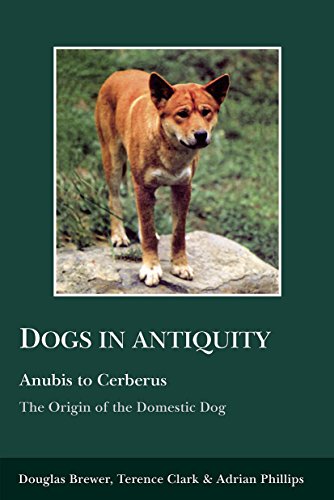 Dogs in Antiquity: Anubis to Cerberus (Aris & Phillips Classical Texts) (9780856687044) by Brewer, Douglas J.; Phillips, A. A.; Clark, Terence