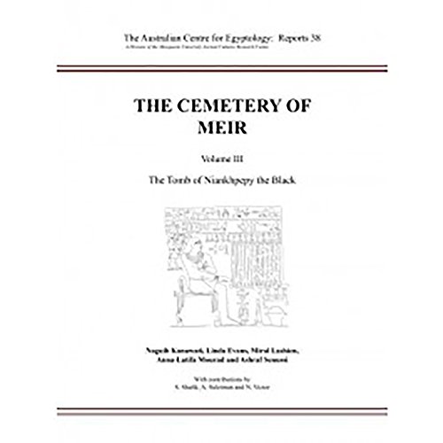 Imagen de archivo de The Cemetery of Meir: Volume III: The Tomb of Niankhpepy the Black (Australian Centre for Egyptology) a la venta por Books From California