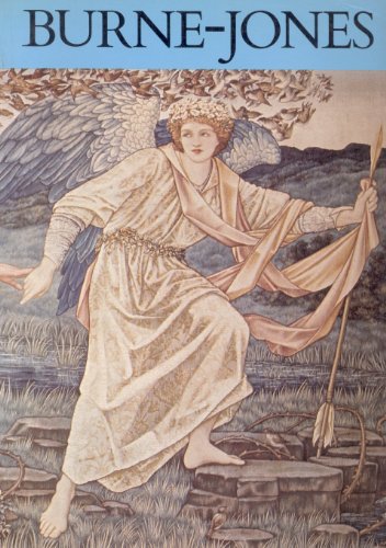 Burne-Jones (9780856704413) by May Johnson