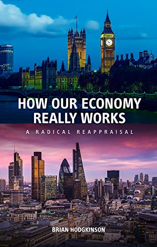 Stock image for How our Economy Really Works: A Radical Reappraisal for sale by International Bookstore