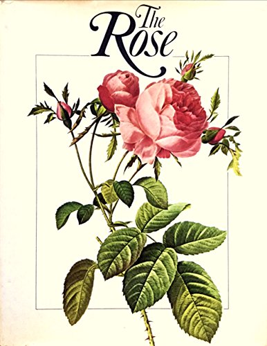 Imagen de archivo de The Rose a la venta por AwesomeBooks