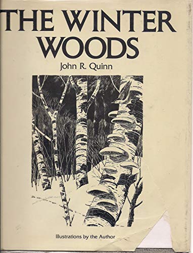 Beispielbild fr Winter Woods zum Verkauf von Wonder Book