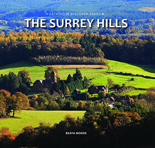 Imagen de archivo de The Surrey Hills a la venta por WorldofBooks