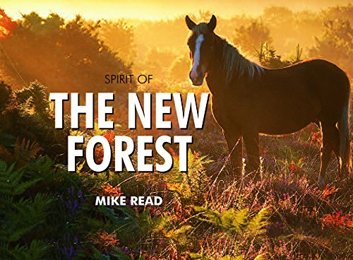 Beispielbild fr Spirit of the New Forest zum Verkauf von WorldofBooks